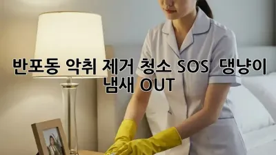 반포동 악취 제거 청소 SOS 🚨 댕냥이 냄새 OUT! 🐾