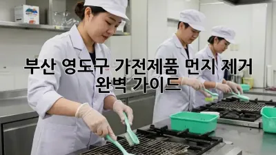 부산 영도구 가전제품 먼지 제거 완벽 가이드