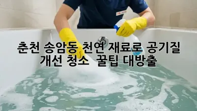 🏡 춘천 송암동, 천연 재료로 공기질 개선 청소 ✨ 꿀팁 대방출!