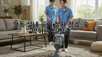 안동 실내 공기 정화 청소 💨 숨 막히는 집 탈출!